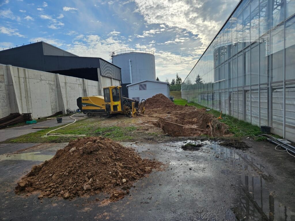 Galerijos nuotrauka 6